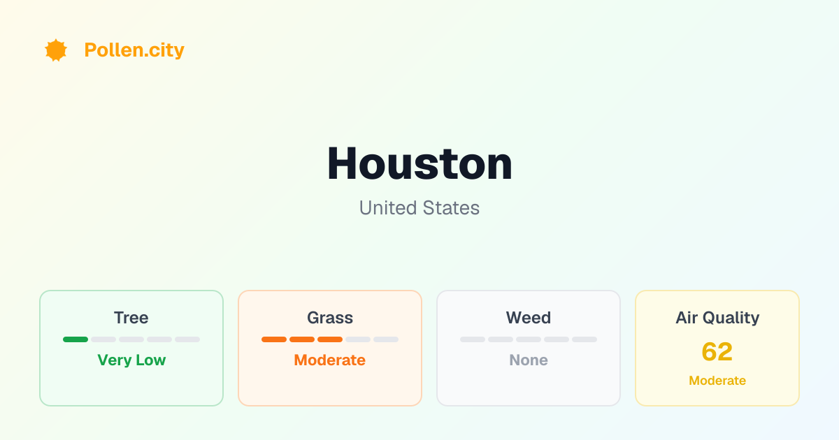Houston Pollen Count Today | Pollen.city